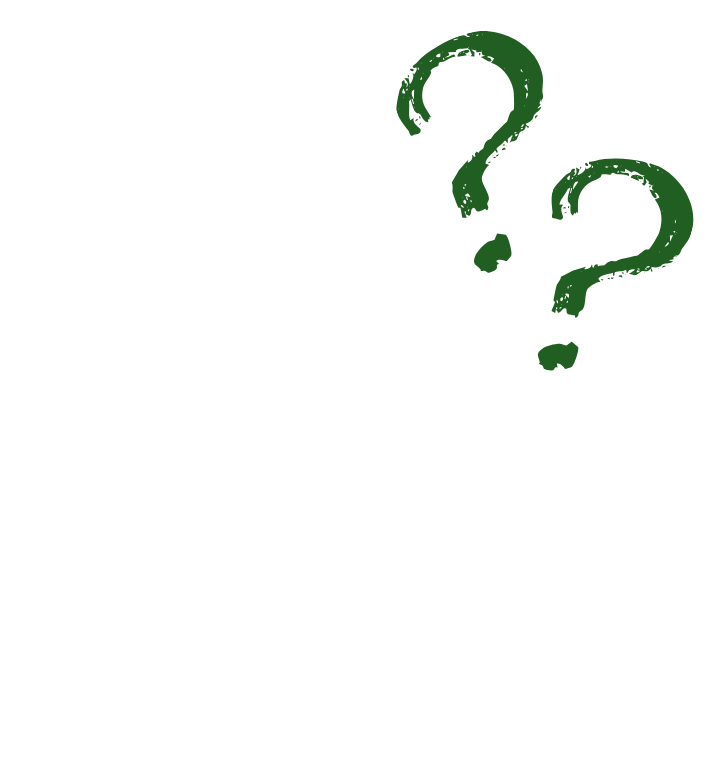 faq-02 faq-02